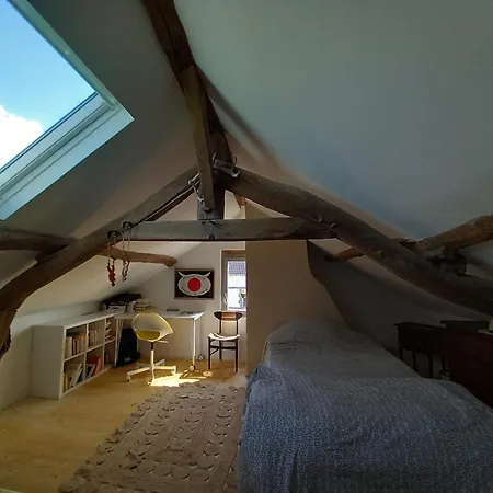 Vakantiehuis Maison De Charme Dans Joli Jardin Arbore De 300 M2